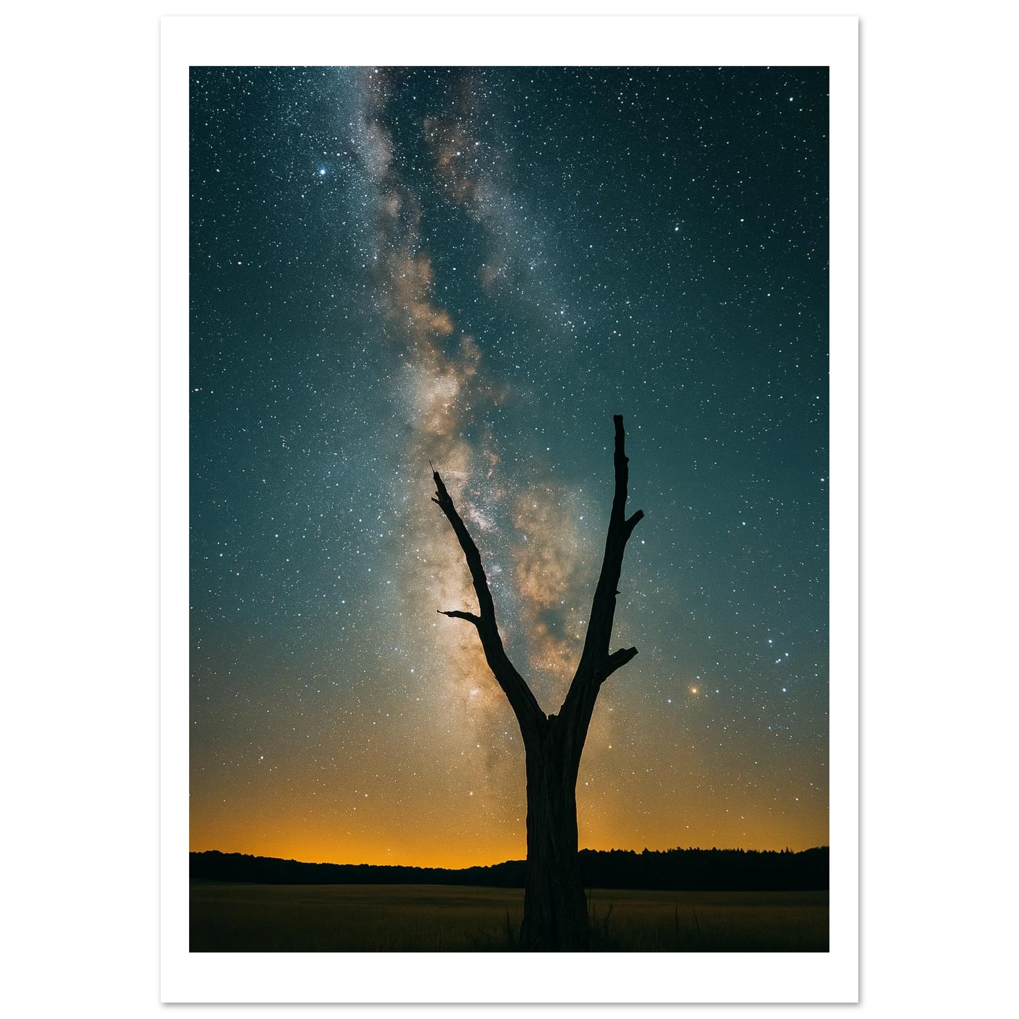 723429bb-a9a2-445e-b669-f260dadd0dc5